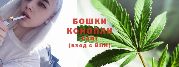спиды Бронницы