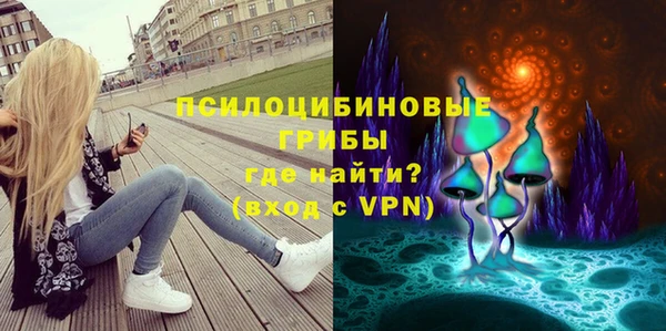 спиды Бронницы
