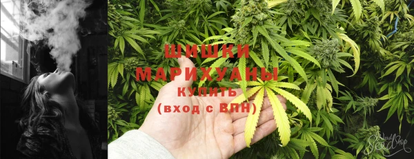 Альфа ПВП Бородино