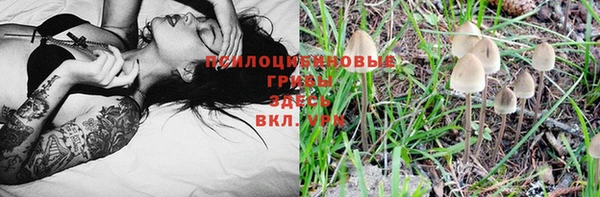 mdpv Бугульма