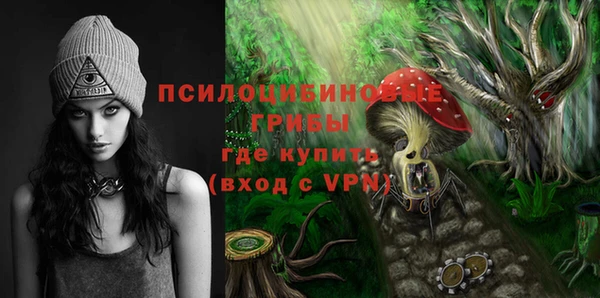 mdpv Бугульма