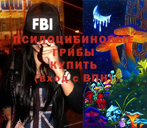 Альфа ПВП Бородино