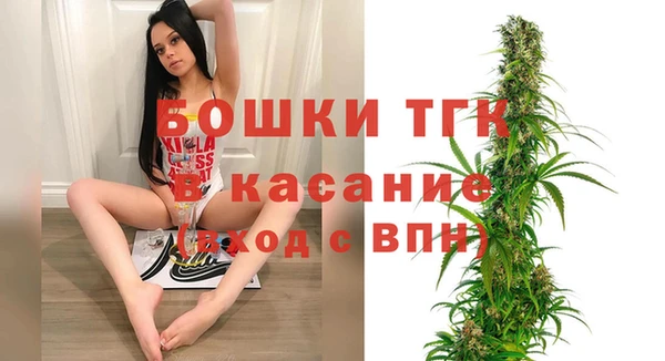 Альфа ПВП Бородино