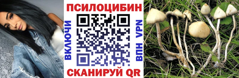 Купить где  Нефтекумск  Галлюциногенные грибы MAGIC MUSHROOMS 