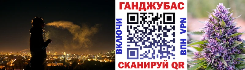 Марихуана сатива  Купить закладки  Нефтекумск 